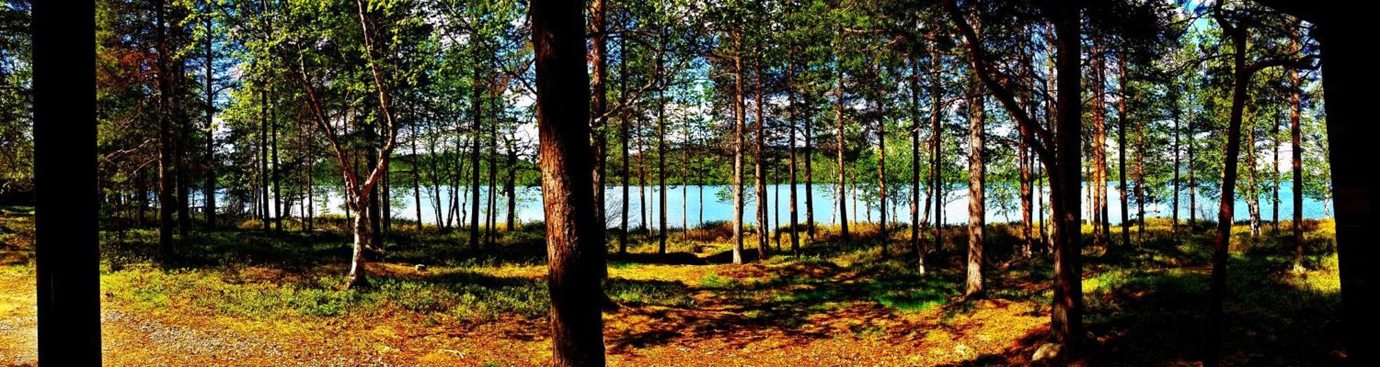 Ukonjaerven Holiday Village Ivalo Habitación foto