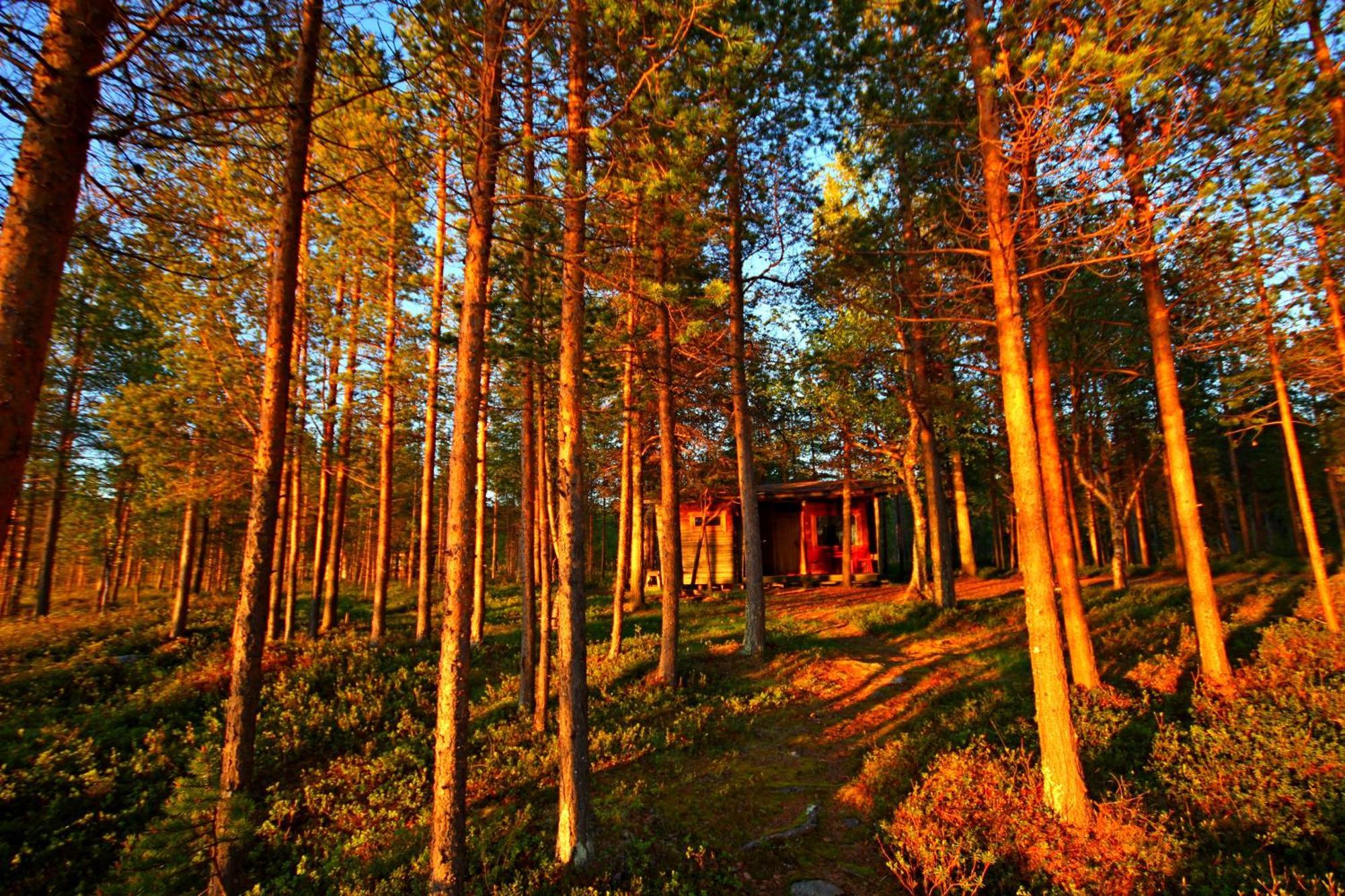 Ukonjaerven Holiday Village Ivalo Habitación foto