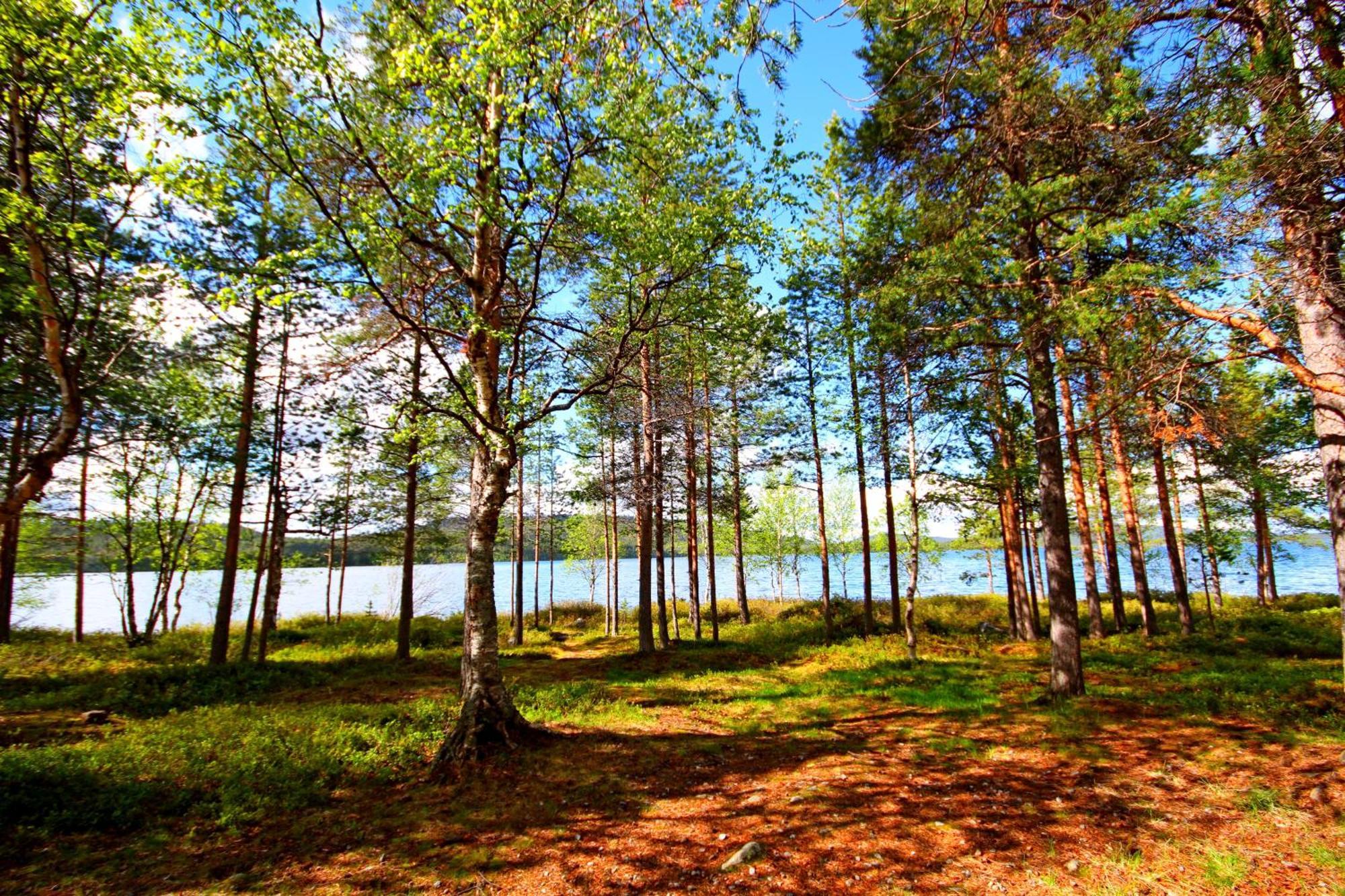 Ukonjaerven Holiday Village Ivalo Habitación foto